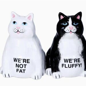 Magnetic Salt And Pepper Shakers Fat Cats Attractives new in box
